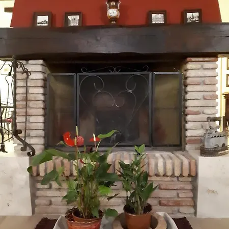 Bed & Breakfast La Camelia Velletri