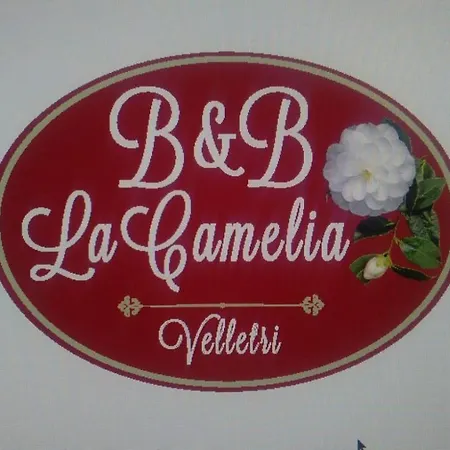 La Camelia Bed & Breakfast Velletri