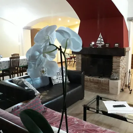 Bed & Breakfast La Camelia Velletri