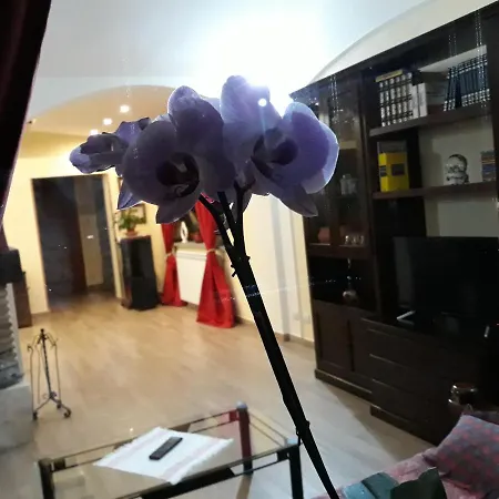 La Camelia * Velletri