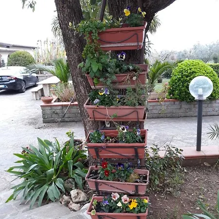 Bed & Breakfast La Camelia Velletri