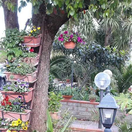 La Camelia Velletri