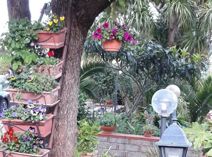 La Camelia Velletri